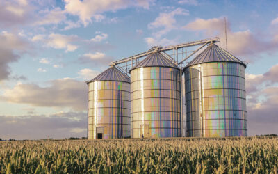 Breaking Down Information Silos