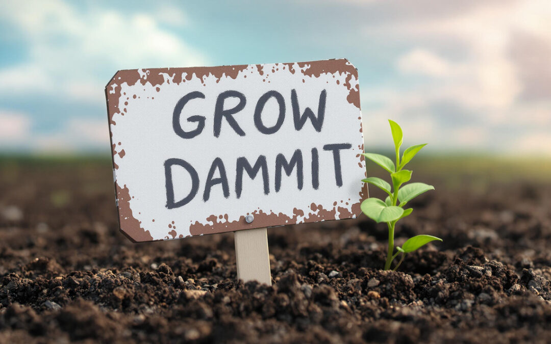 Driving Success with Product-Led Growth